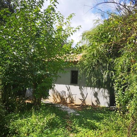 Villa Griseor ポルトヴェッキオ エクステリア 写真